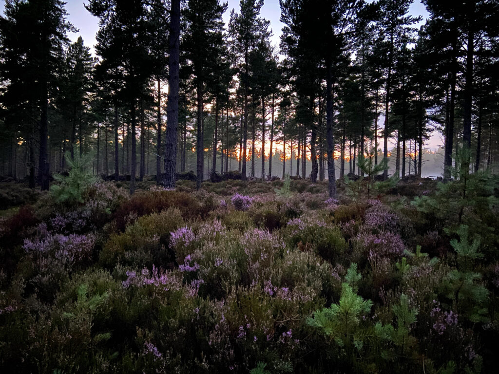 C66168C3-F3A6-483E-9E73-9A713122C30B