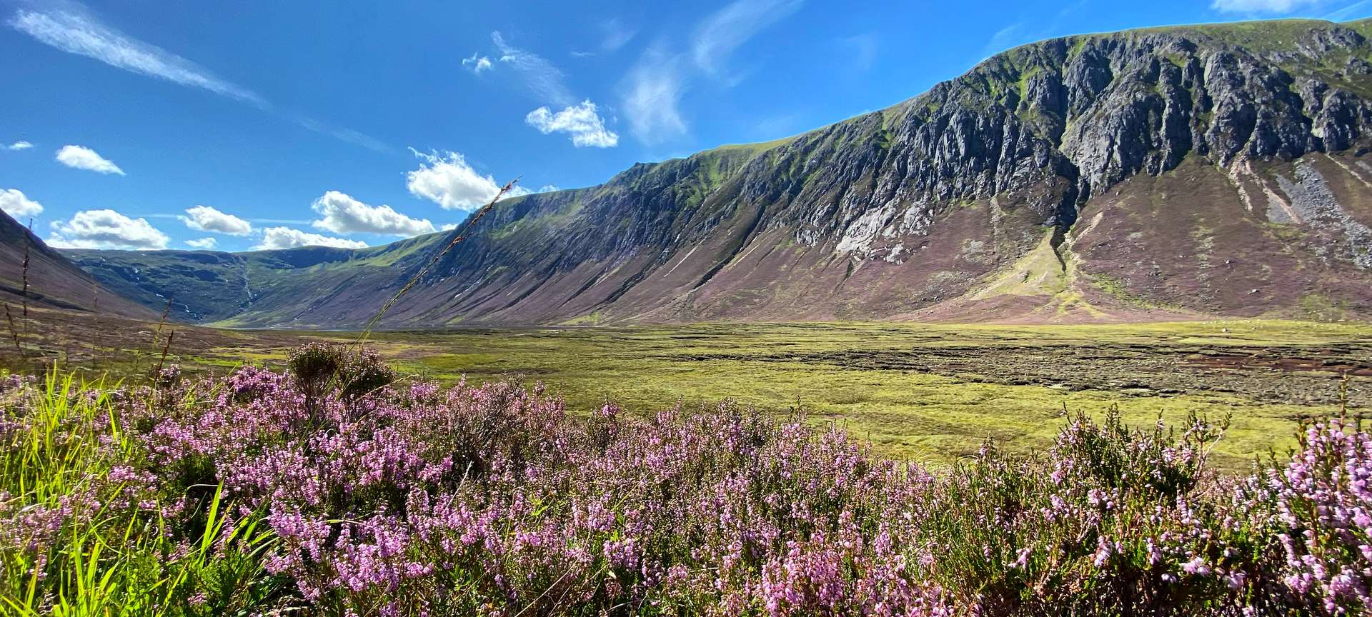 Purple heather in the foreground of a broad Highland glen beneath steep crags